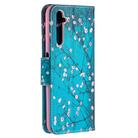 For OPPO Realme 6 Pro Colored Drawing Pattern Horizontal Flip Leather Case with Holder & Card Slots & Wallet(Plum Blossom) - 3