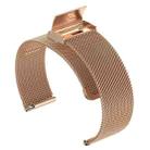 20mm xDfind Buckle Metal Mesh Watch Band(Rose Gold) - 3