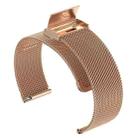 22mm xDfind Buckle Metal Mesh Watch Band(Rose Gold) - 3