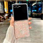 For Samsung Galaxy Z Flip7 Pearlescent Shell Texture Phone Case(Pink Green) - 2