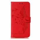 For vivo V50 Lite 5G Feather Pattern Litchi Texture Leather Phone Case(Red) - 2