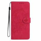 For iPhone 17 Moonlit Butterfly Dance Pattern Embossed Leather Phone Case(Rose Red) - 2
