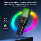 Yanmai SF-777R RGB Light Desktop Noise Reduction Microphone with Anti-spray Net - 3