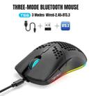 HXSJ T66 3 Modes Wired 2.4G BT5.3 Wireless RGB Rechargeable Mouse(Black) - 2