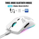 HXSJ T66 3 Modes Wired 2.4G BT5.3 Wireless RGB Rechargeable Mouse(White) - 2