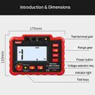 TASI TA8322A High Voltage Digital Electronic Meter Insulation Resistance Tester - 2