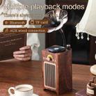 H3 Morning Glory Retro Wireless Bluetooth Speaker(Brown) - 3