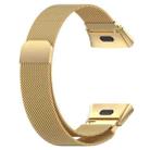 For Redmi Watch 3 xDfind Milanese Magnetic Metal Steel Mesh Watch Band(Gold) - 2