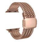 For Apple Watch 46mm / 49mm / 45mm / 44mm Mesh Magnetic Stainless Steel Watch Band(Rose Gold) - 1