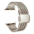 For Apple Watch 42mm / 41mm / 40mm / 38mm Mesh Magnetic Stainless Steel Watch Band(Starlight) - 1