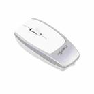 HXSJ M109 Mini Wireless Mouse, 3D Right, TF Card Reader, 4D Mute Buttons(Space Silver) - 2