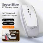 HXSJ M109 Mini Wireless Mouse, 3D Right, TF Card Reader, 4D Mute Buttons(Space Silver) - 3