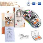 HXSJ M333 Three Modes Transparent Wireless Mouse(Space Grey) - 3