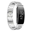 For Fitbit Inspire 2 / Ace 3 14mm xDfind Diamond Jewelry Stainless Steel Watch Band(Silver) - 1