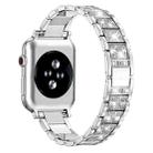 For Apple Watch 38 / 40 / 41 / S10 42mm xDfind Diamond Jewelry Stainless Steel Watch Band(Silver) - 1