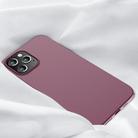 For iPhone 12 Pro Max X-level Guardian Series Ultra-thin All-inclusive Shockproof TPU Case(Wine Red) - 1