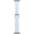 For Apple Watch 42mm / 41mm / 40mm / 38mm Silk Microfiber Leather Watch Band(Blue) - 3