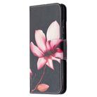 For Samsung Galaxy S20 FE 5G / S20 Lite Colored Drawing Pattern Horizontal Flip Leather Case with Holder & Card Slots & Wallet(Lotus) - 2