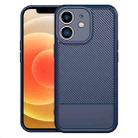 For iPhone 12 Carbon Fiber Series Fine Hole TPU Phone Case(Blue) - 1