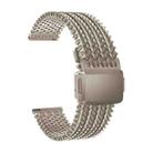 22mm Mesh Magnetic Stainless Steel Watch Band(Starlight) - 1