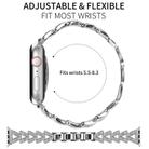 For Apple Watch 42 / 44 / 45 / 46 / 49mm 20mm xDfind Small Twist Diamond Metal Watch Band(Silver) - 2