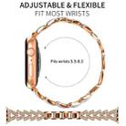 For Apple Watch 42 / 44 / 45 / 46 / 49mm 20mm xDfind Small Twist Diamond Metal Watch Band(Rose Gold) - 2