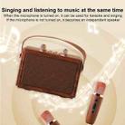 H1 Portable Outdoor Bluetooth Wireless Smart Speaker with Microphone(Wood Grain) - 3