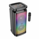 Borofone BP25 Vida Karaoke BT Wireless Speaker with Microphone(Black) - 1