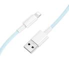 BOROFONE BX117 1m 2.4A USB to 8 Pin Source Charging Data Cable(Blue) - 1