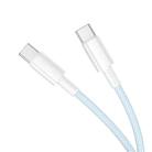 BOROFONE BX117 1m 60W Type-C to Type-C Source Charging Data Cable(Blue) - 2