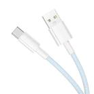 BOROFONE BX117 1m 3A USB to Type-C Source Charging Data Cable(Blue) - 2