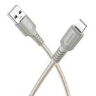 BOROFONE BX116 1m 2.4A USB to 8 Pin Certain Charging Data Cable(Grey) - 1