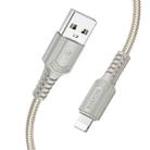BOROFONE BX116 1m 2.4A USB to 8 Pin Certain Charging Data Cable(Grey) - 2