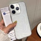 For iPhone 11 Pro Max Meteorite Texture Solid Color Glaze TPU Phone Case(Transparent) - 1