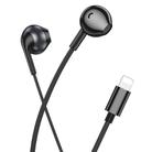 hoco M115 8 Pin Sagacious Universal Earphones with Microphone(Black) - 2