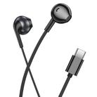 hoco M115 Type-C Sagacious Universal Earphones with Microphone(Black) - 2