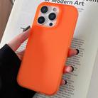 For iPhone 16 Pro Max Transparent Comfortable Frosted TPU Phone Case(Orange) - 1