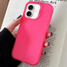 For iPhone 16 Plus Transparent Comfortable Frosted TPU Phone Case(Rose Red) - 1
