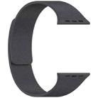 For Apple Watch 38 / 40 / 41 / S10 42mm xDfind Flat Head Litchi Texture Magnetic Silicone Watch Band(Grey) - 2