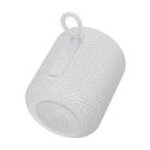 hoco HC30 Oceano Sports Bluetooth Speaker(Grey) - 3