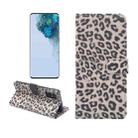 For Samsung Galaxy Note20 Leopard Pattern Horizontal Flip Leather Case with Holder & Card Slots(Brown) - 1