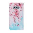 For Samsung Galaxy S10e Coloured Drawing Pattern Horizontal Flip PU Leather Case with Holder & Card Slots & Wallet & Lanyard(Cherry Blossoms) - 3