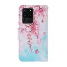 For Samsung Galaxy S20 Ultra Coloured Drawing Pattern Horizontal Flip PU Leather Case with Holder & Card Slots & Wallet & Lanyard(Cherry Blossoms) - 2