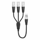 XLR Female to 3 XLR Male 3-Way Splitter Audio Cable, Length: 60cm - 2
