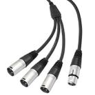 XLR Female to 3 XLR Male 3-Way Splitter Audio Cable, Length: 60cm - 3