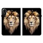 For Xiaomi Redmi Pad 2 11 inch Crystal Texture Colored Drawing Leather Tablet Case(Lion Head) - 2