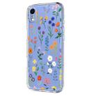 For iPhone XR Flower Pattern Painted TPU Phone Case(Daisy) - 2