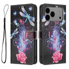 For iPhone 17 Pro Max Color Drawing Pattern Leather Phone Case(Dragonfly) - 3