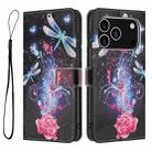 For iPhone 17 Pro Color Drawing Pattern Leather Phone Case(Dragonfly) - 3