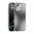 For iPhone 16 Pro ABEEL Heat Dissipation Frosted MagSafe Phone Case with Lens Film(Silver) - 1